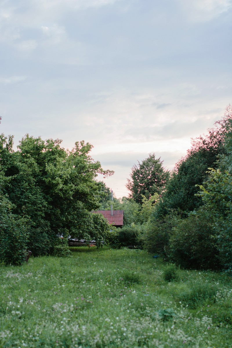 Огородное лето