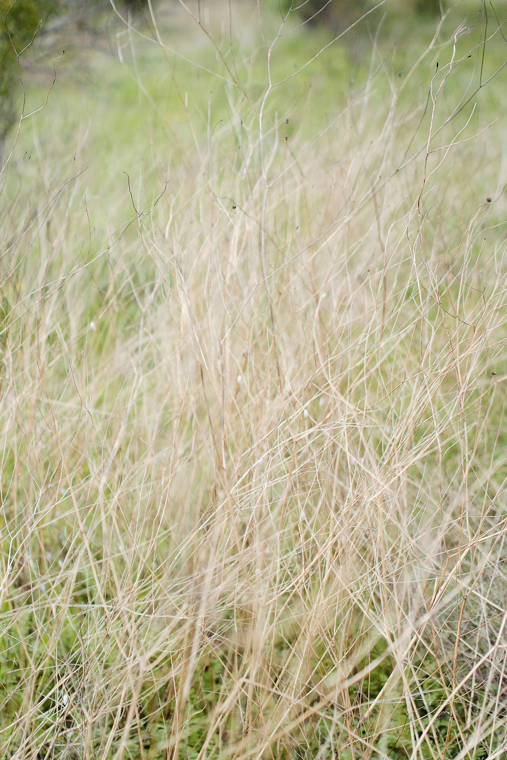 Yaroslav and Jenny Crimea Workshop