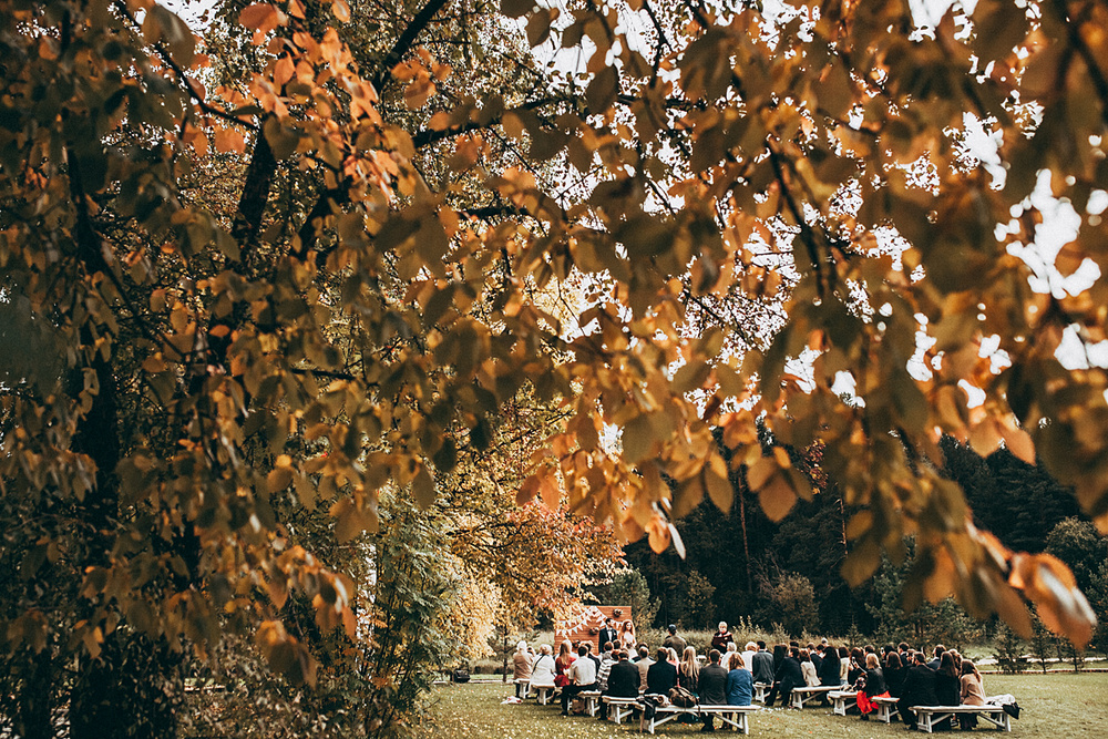 Кристина и Олег Wedding