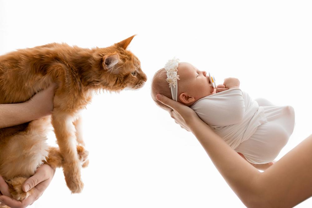 НОВОРОЖДЕННЫЕ