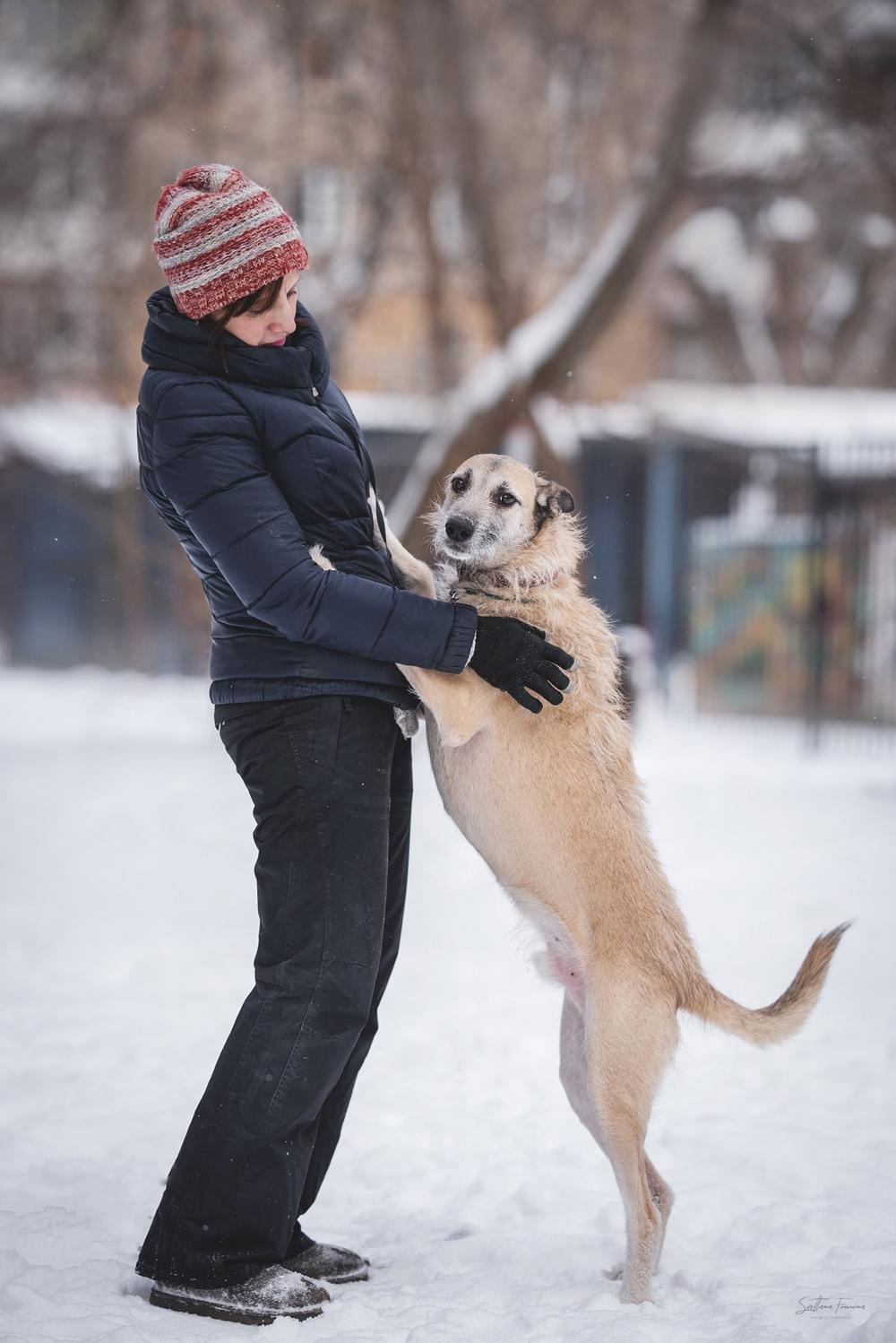 Лёлик
