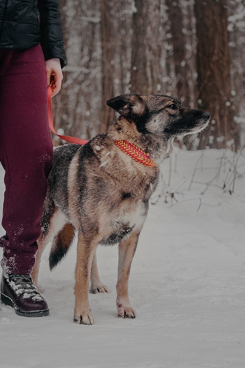 Герда