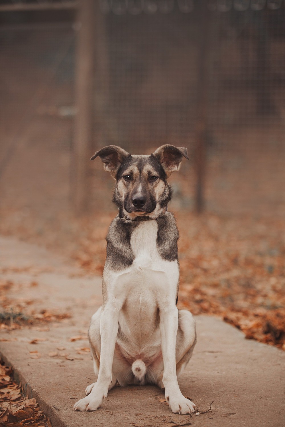 Клермон