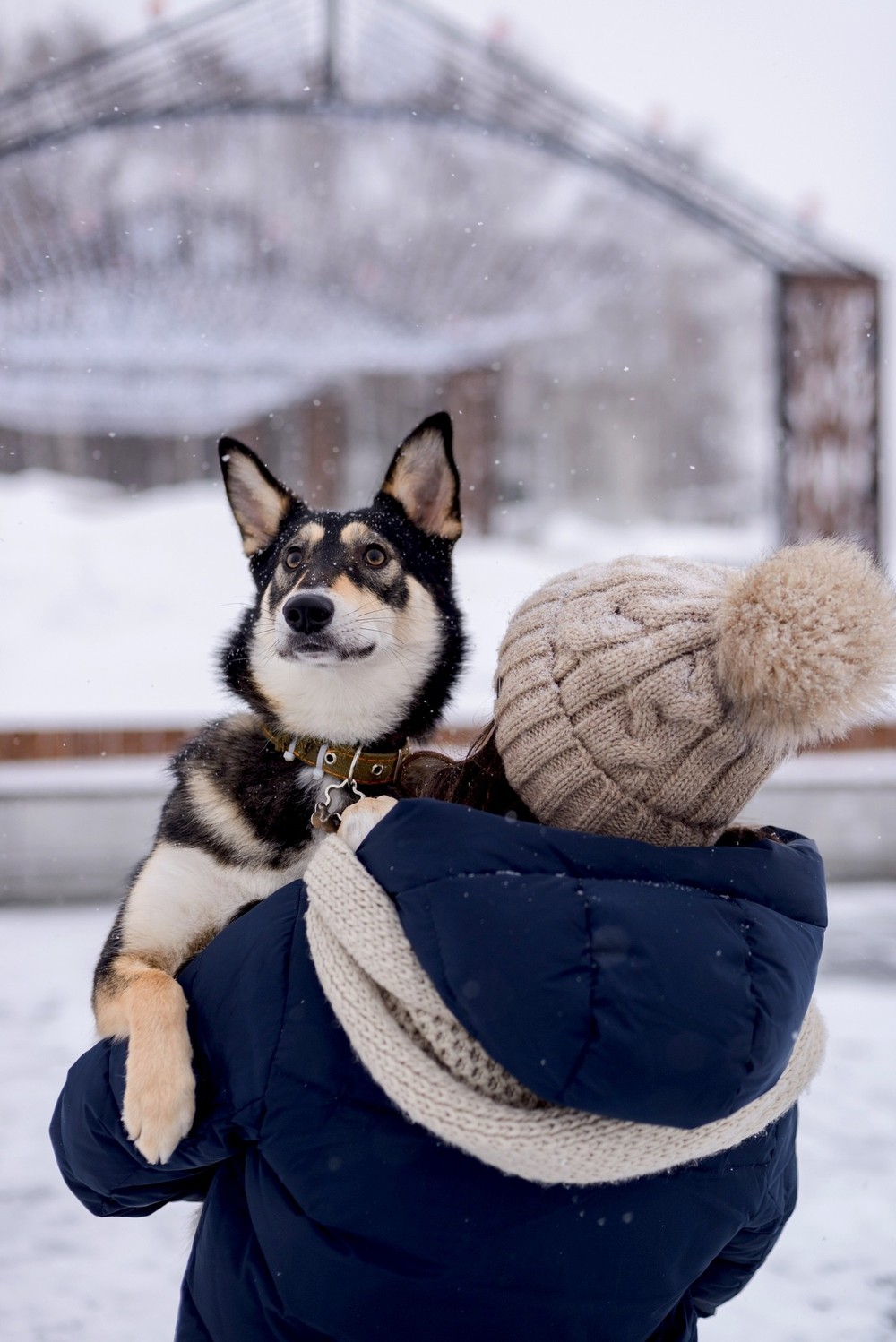 Клюква