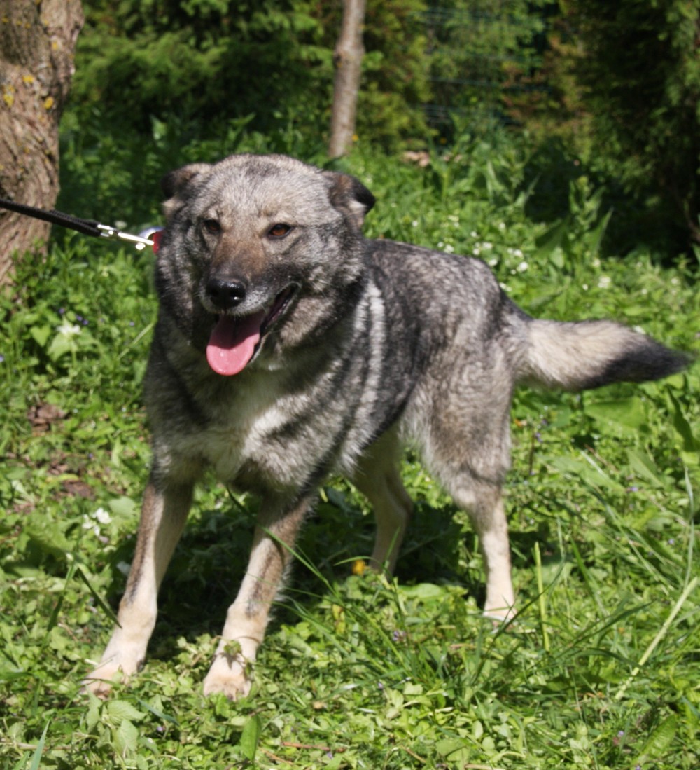 Бурка
