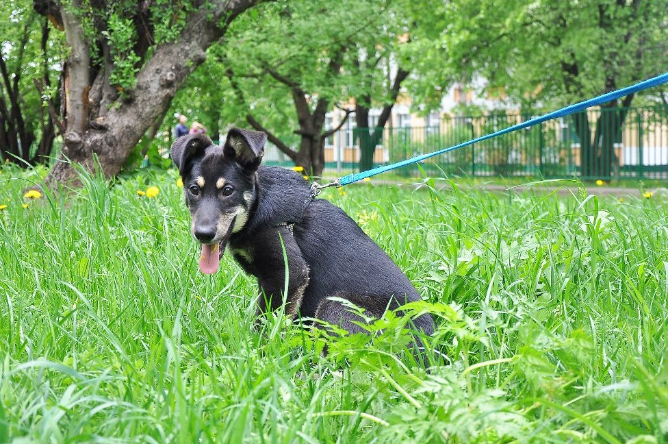 Изюминка (девочка)