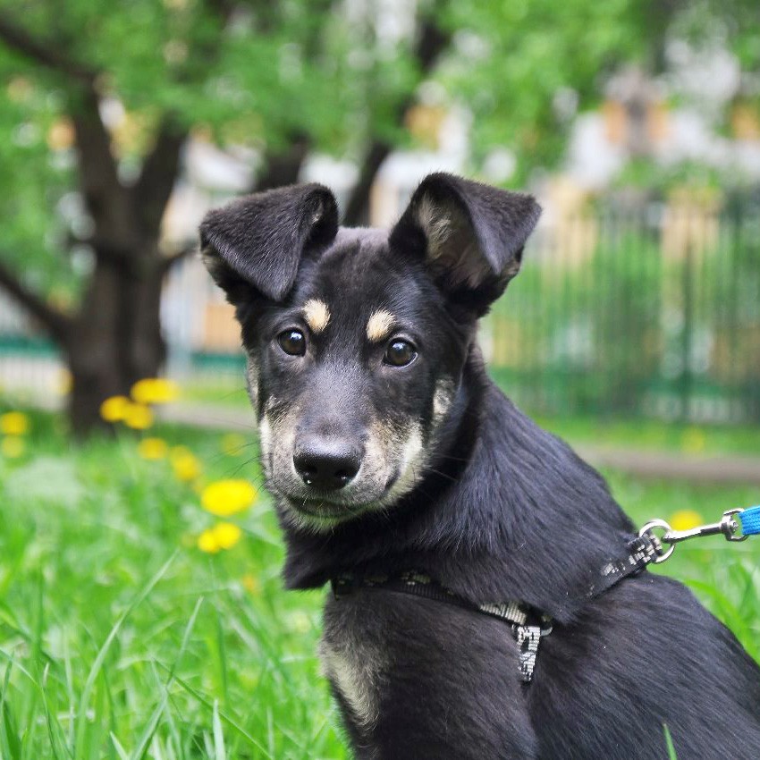 Изюминка (девочка)