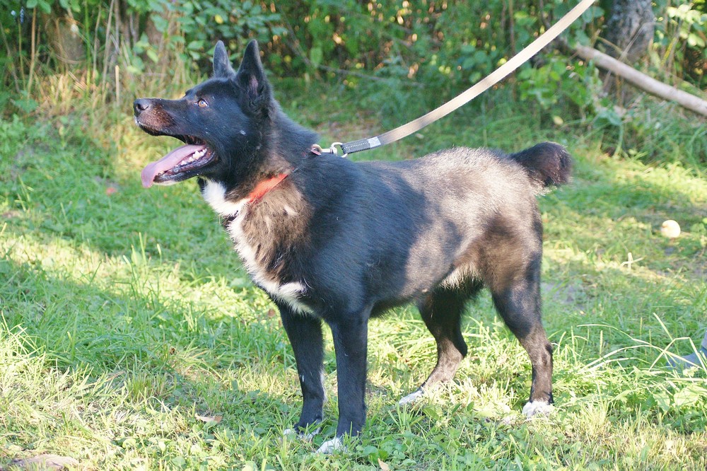 Ульяна