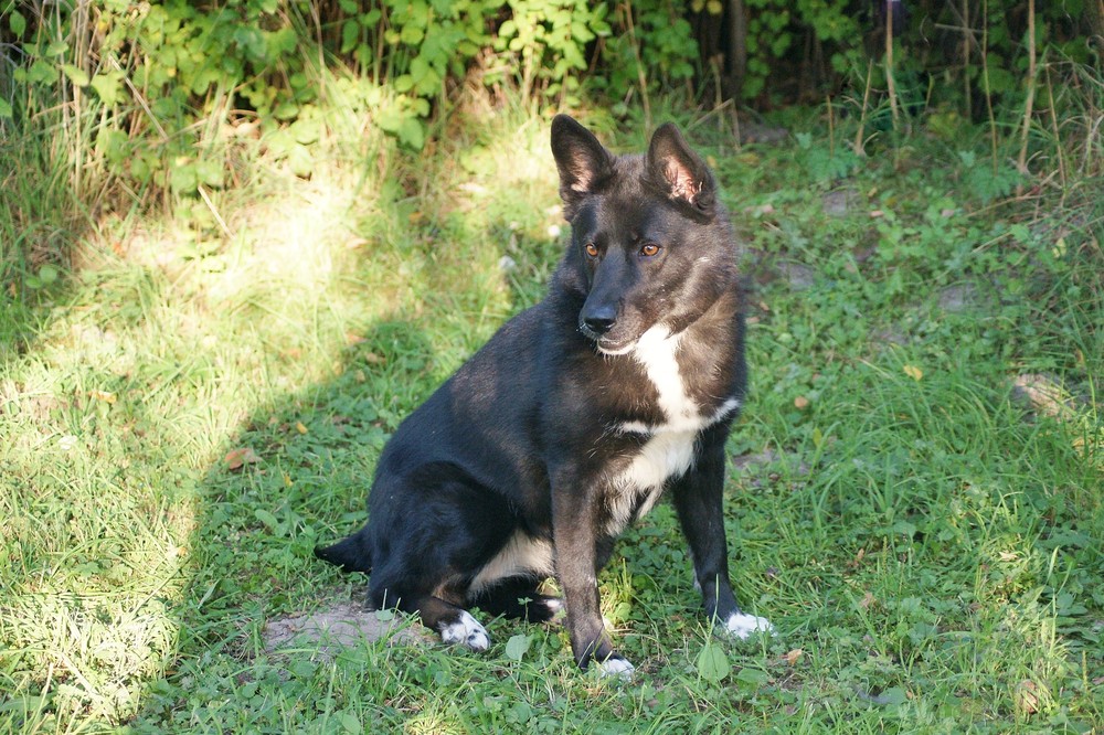 Ульяна