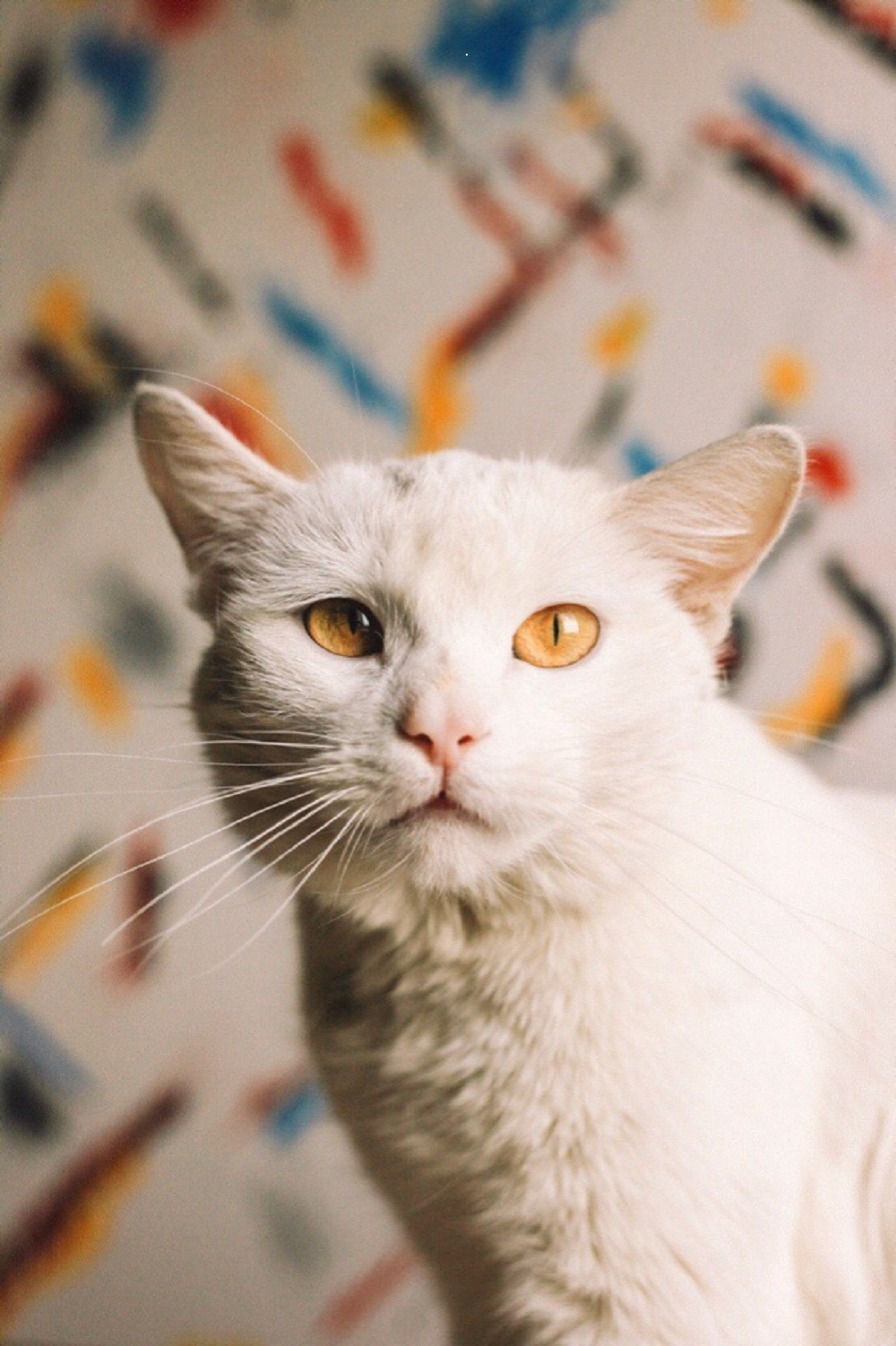 Белочка