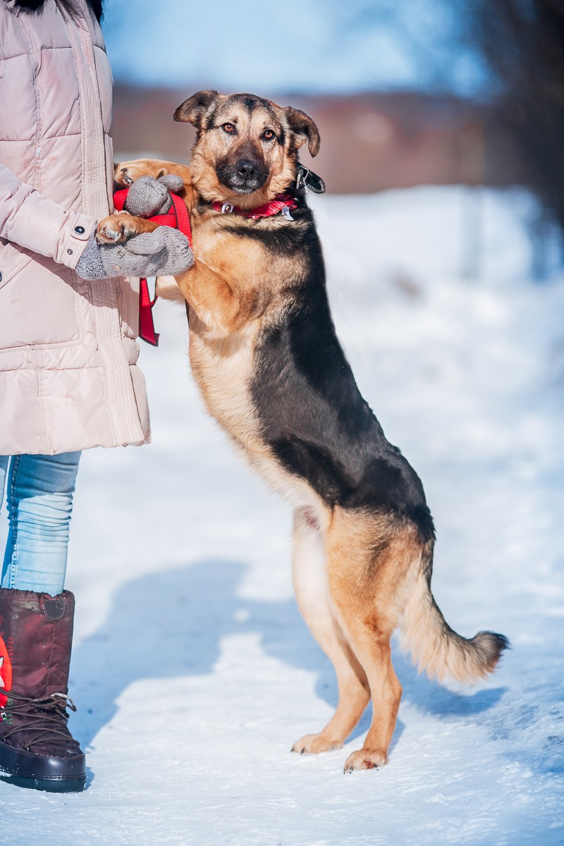 Айна