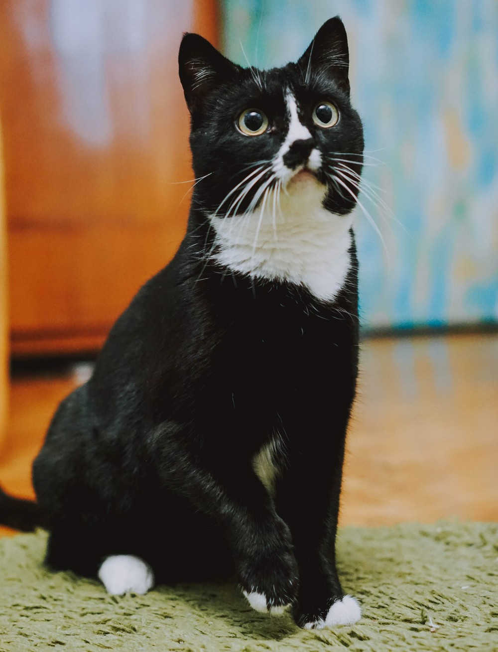 Клякса