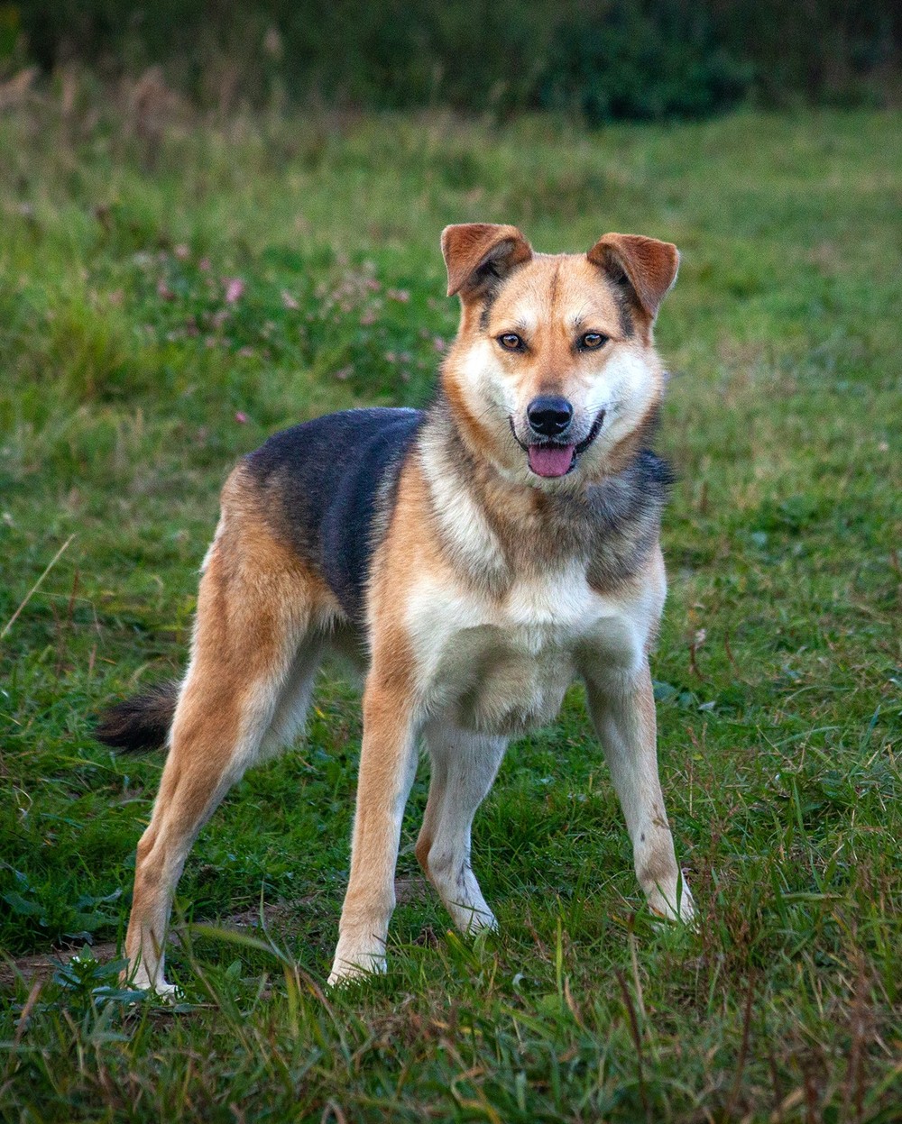 Луна