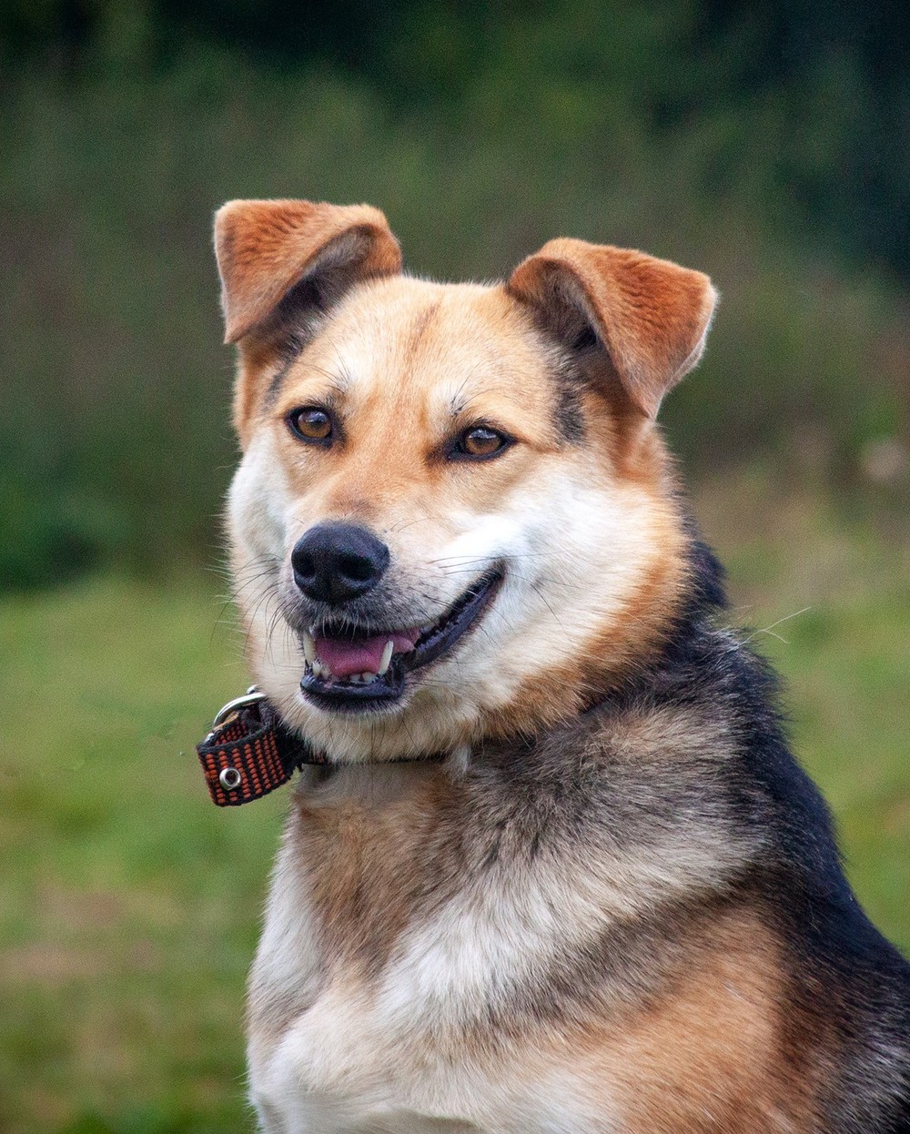 Луна