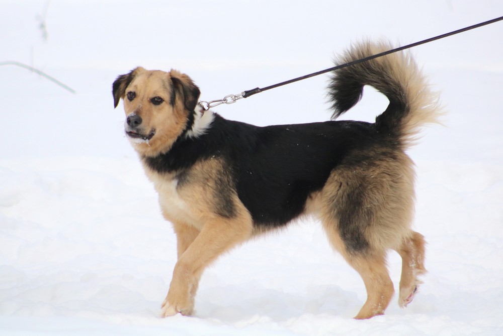 Юла
