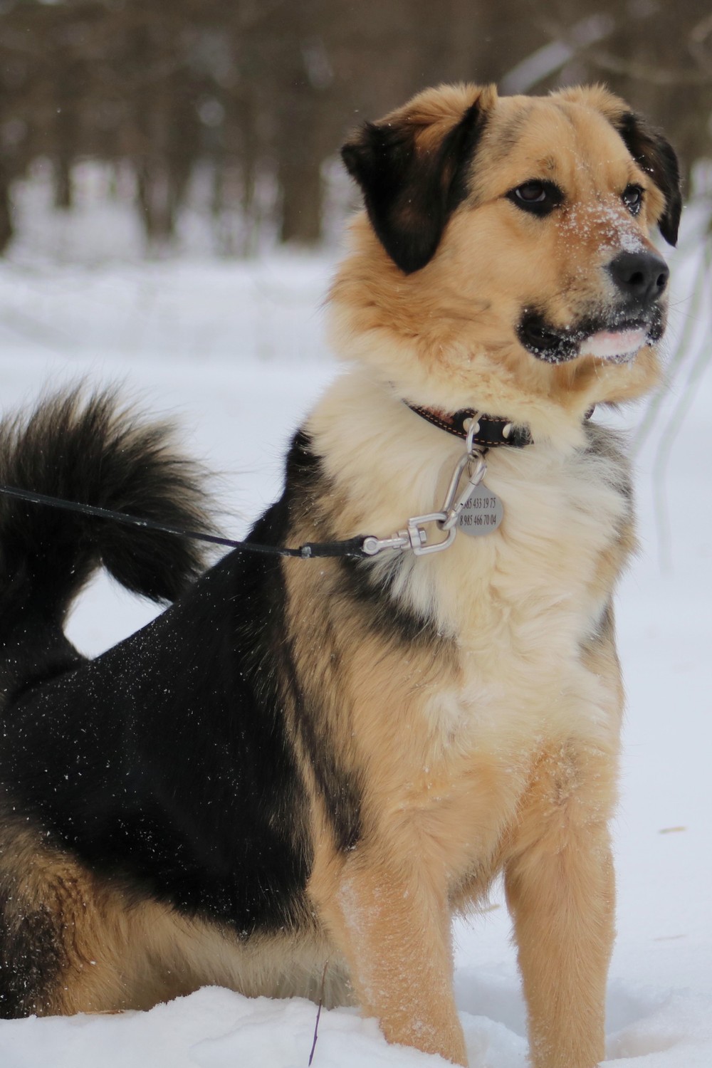 Юла