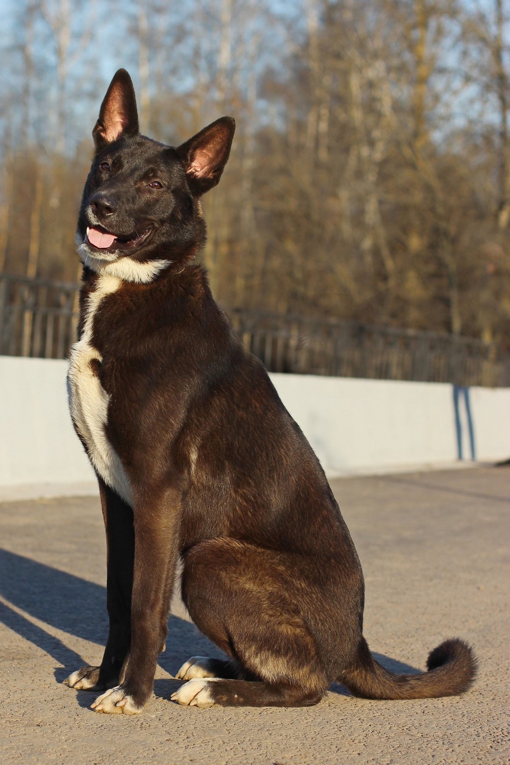 Гера
