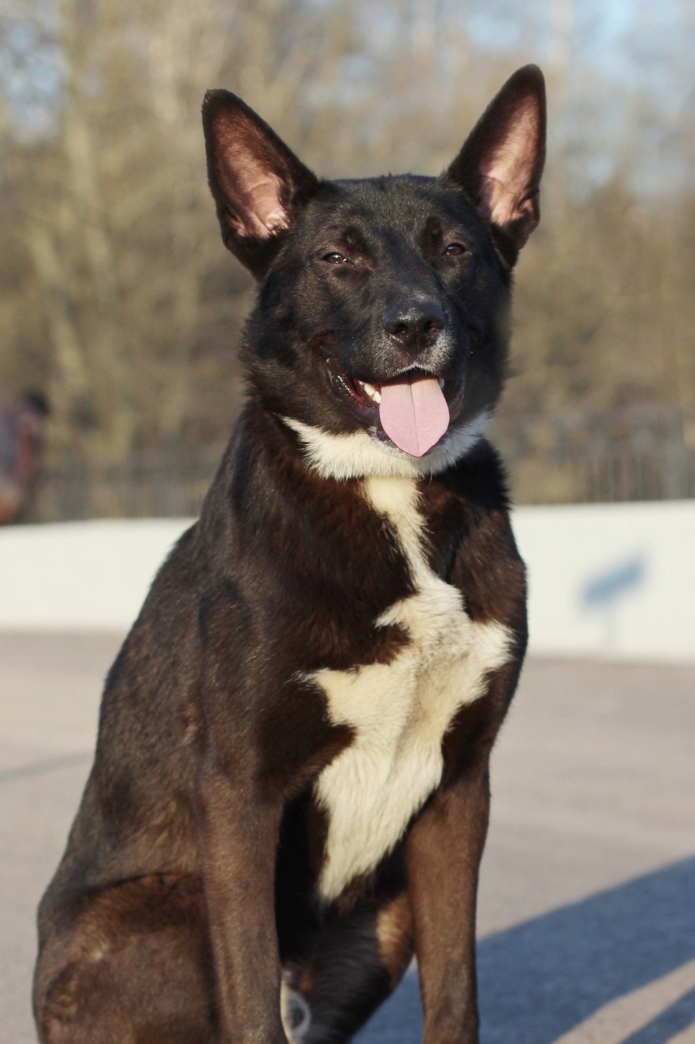 Гера