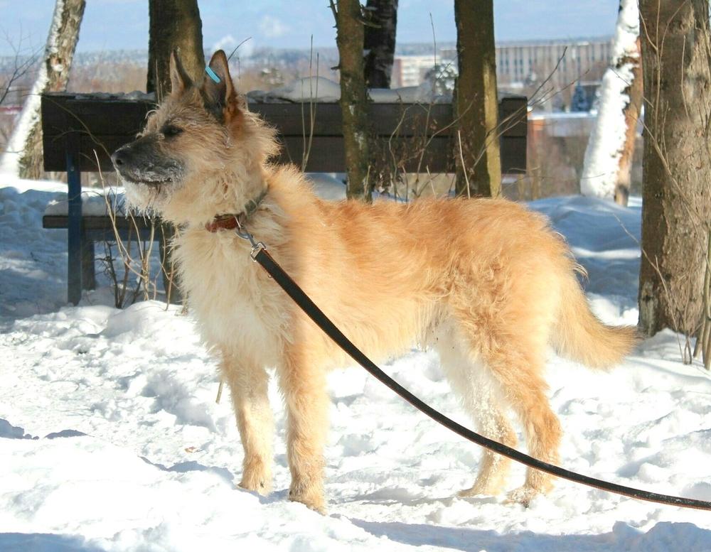 Хати