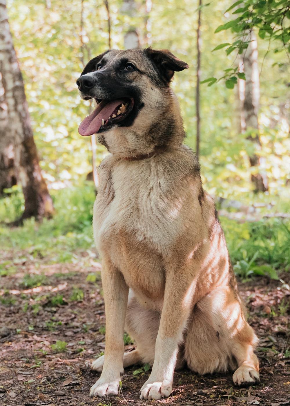 Эйприл