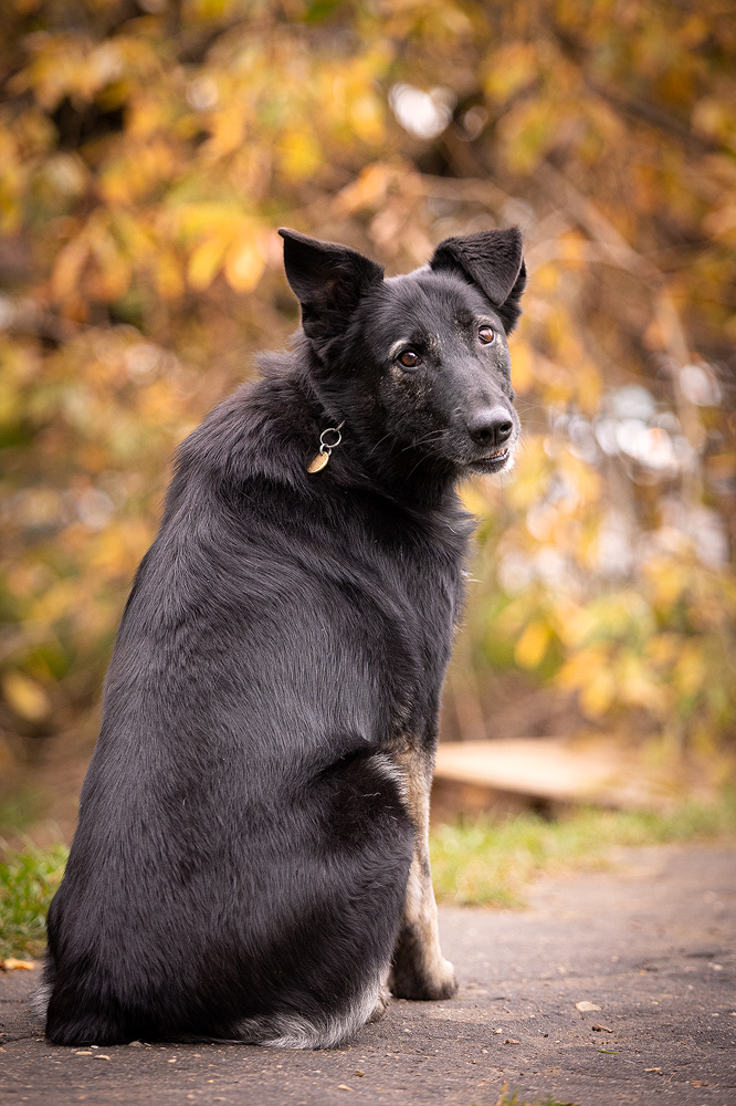 Лима