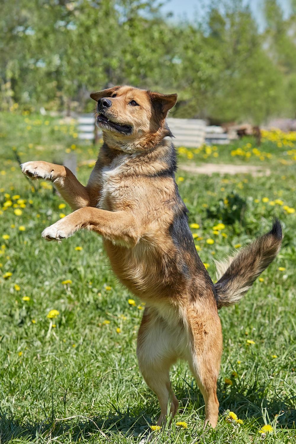 Аня