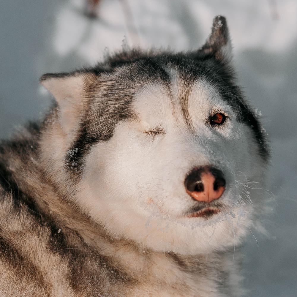 Бэтти
