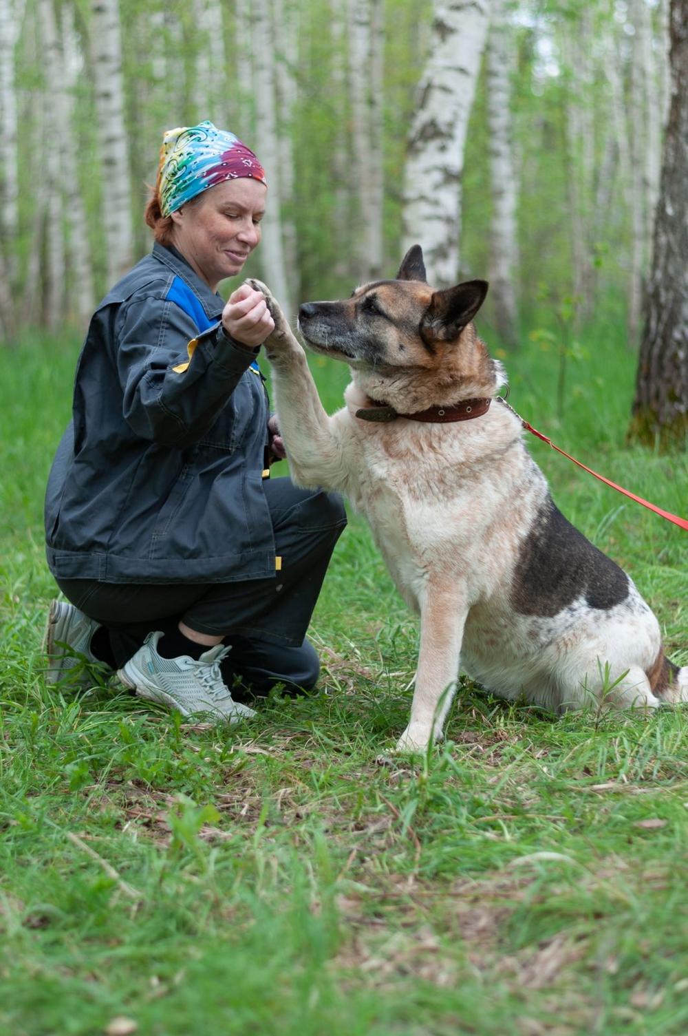 Айна