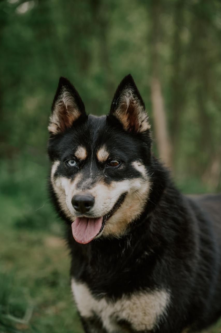 Луна