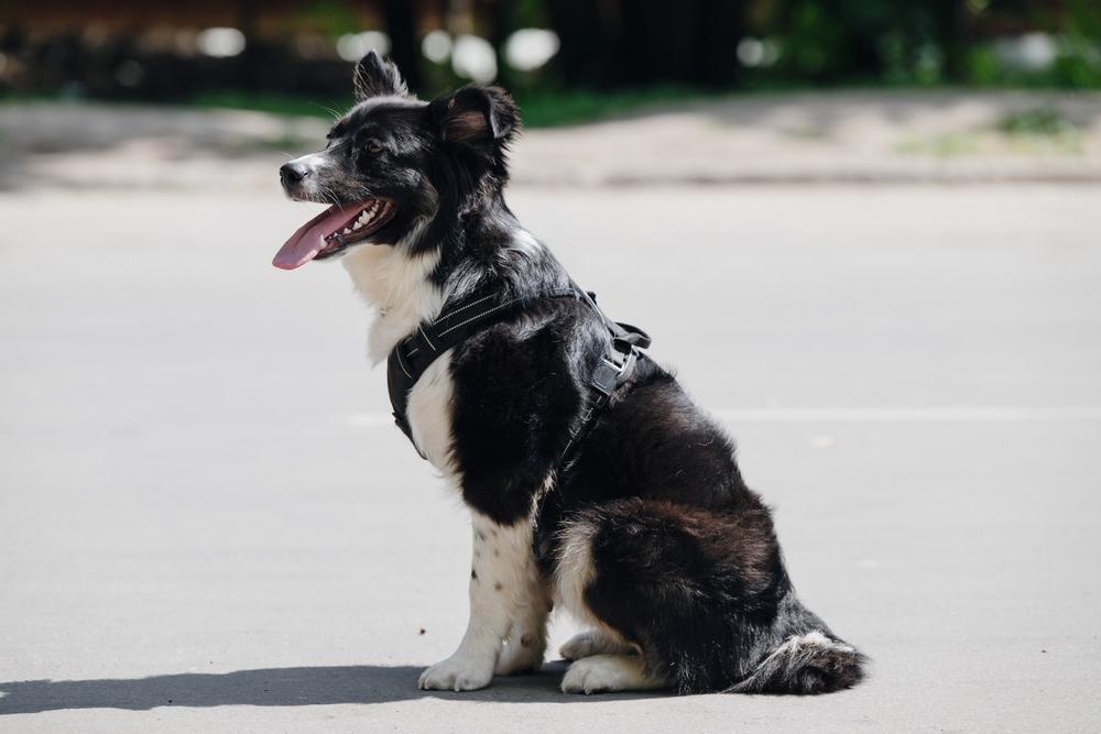 Зима