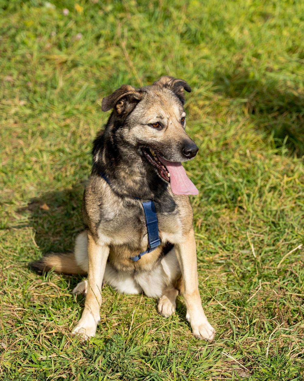 Джуди