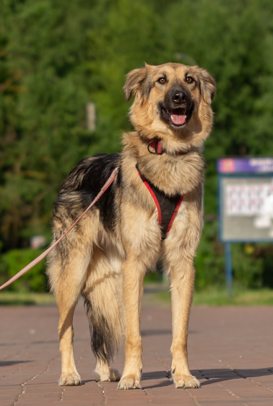 Персей
