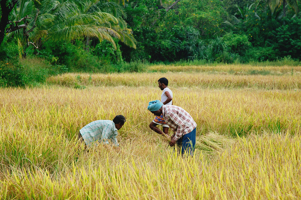 India