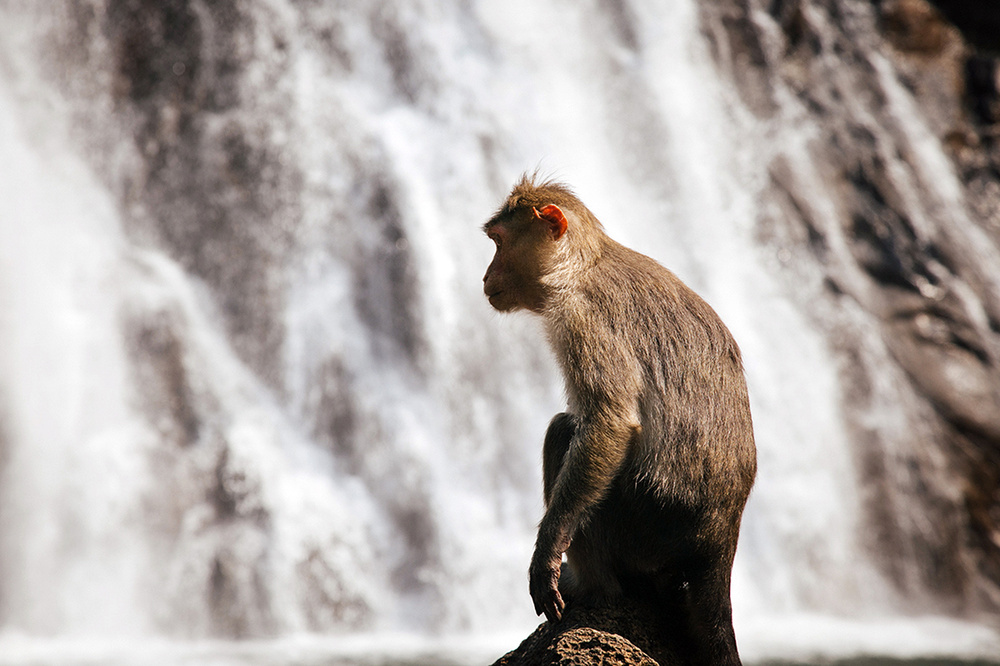 India