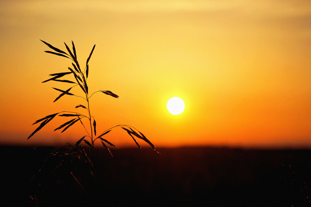 My country