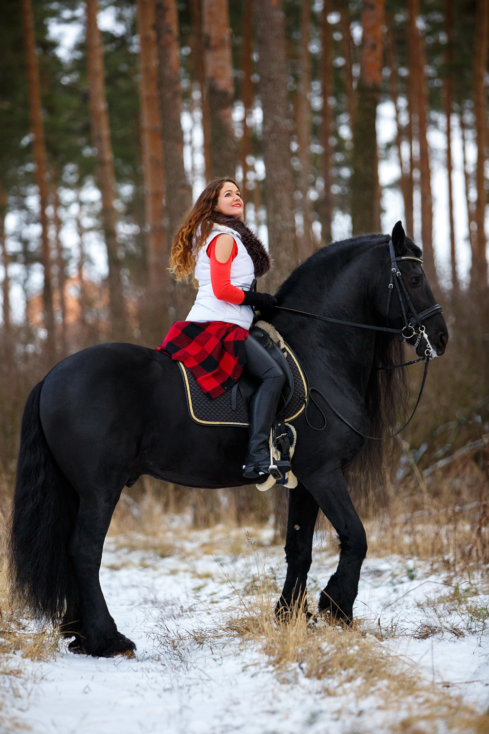 Девушка и Фриз