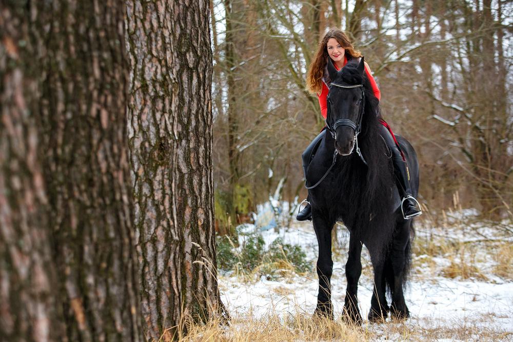 Девушка и Фриз