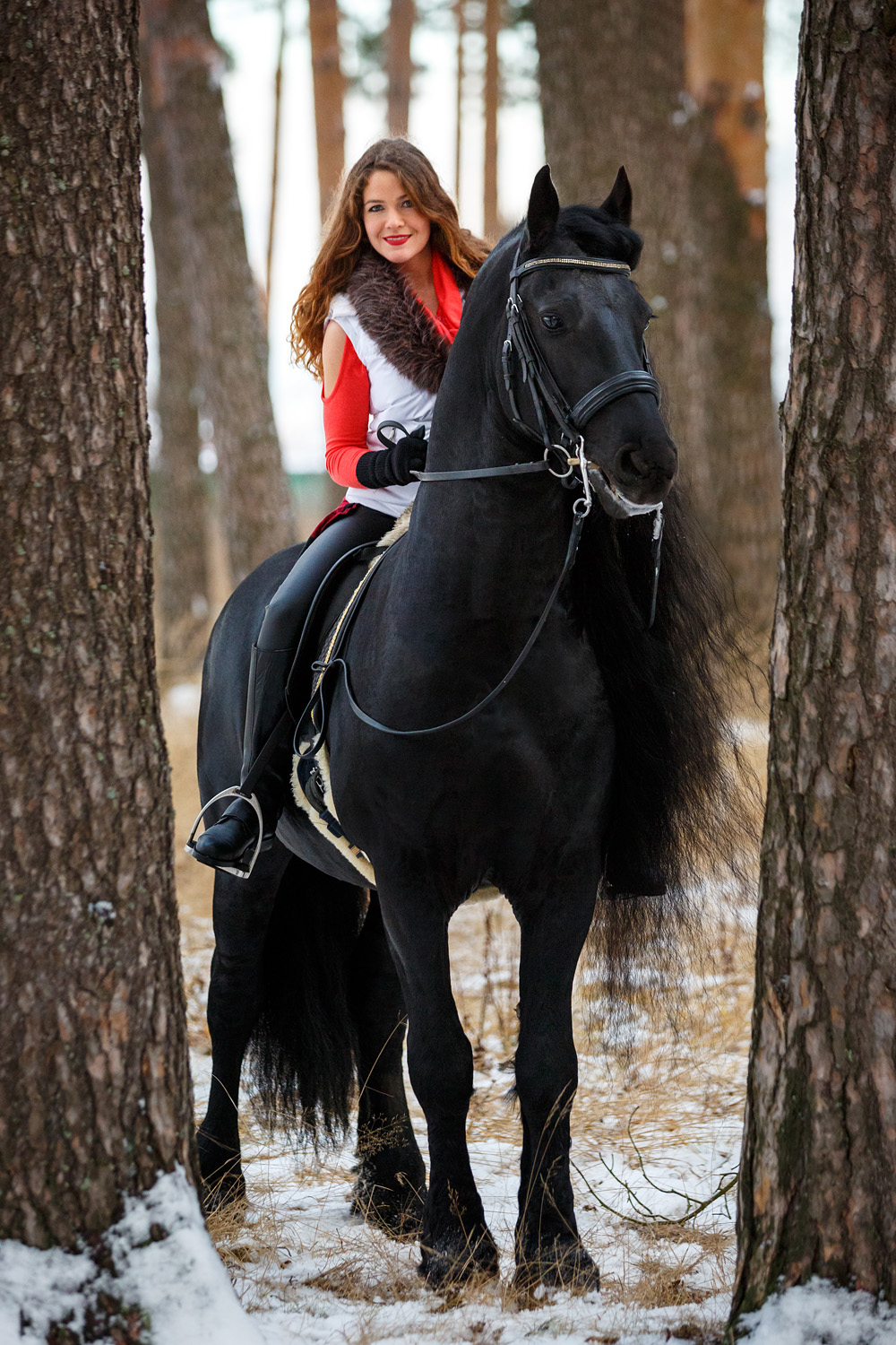 Девушка и Фриз