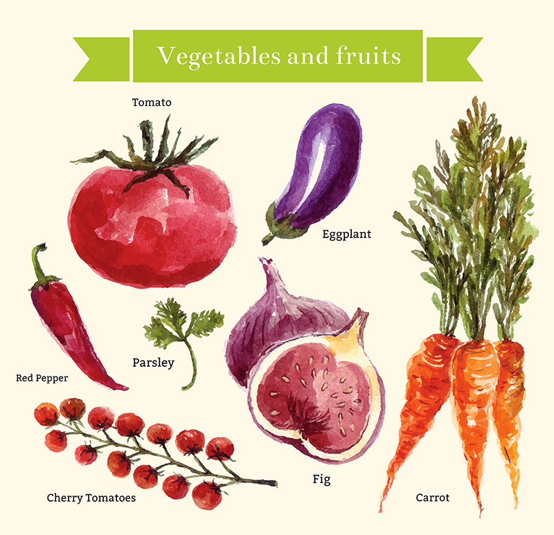 Illustrations
