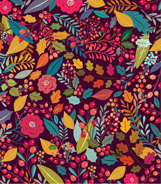 Illustrations