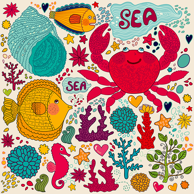 Illustrations