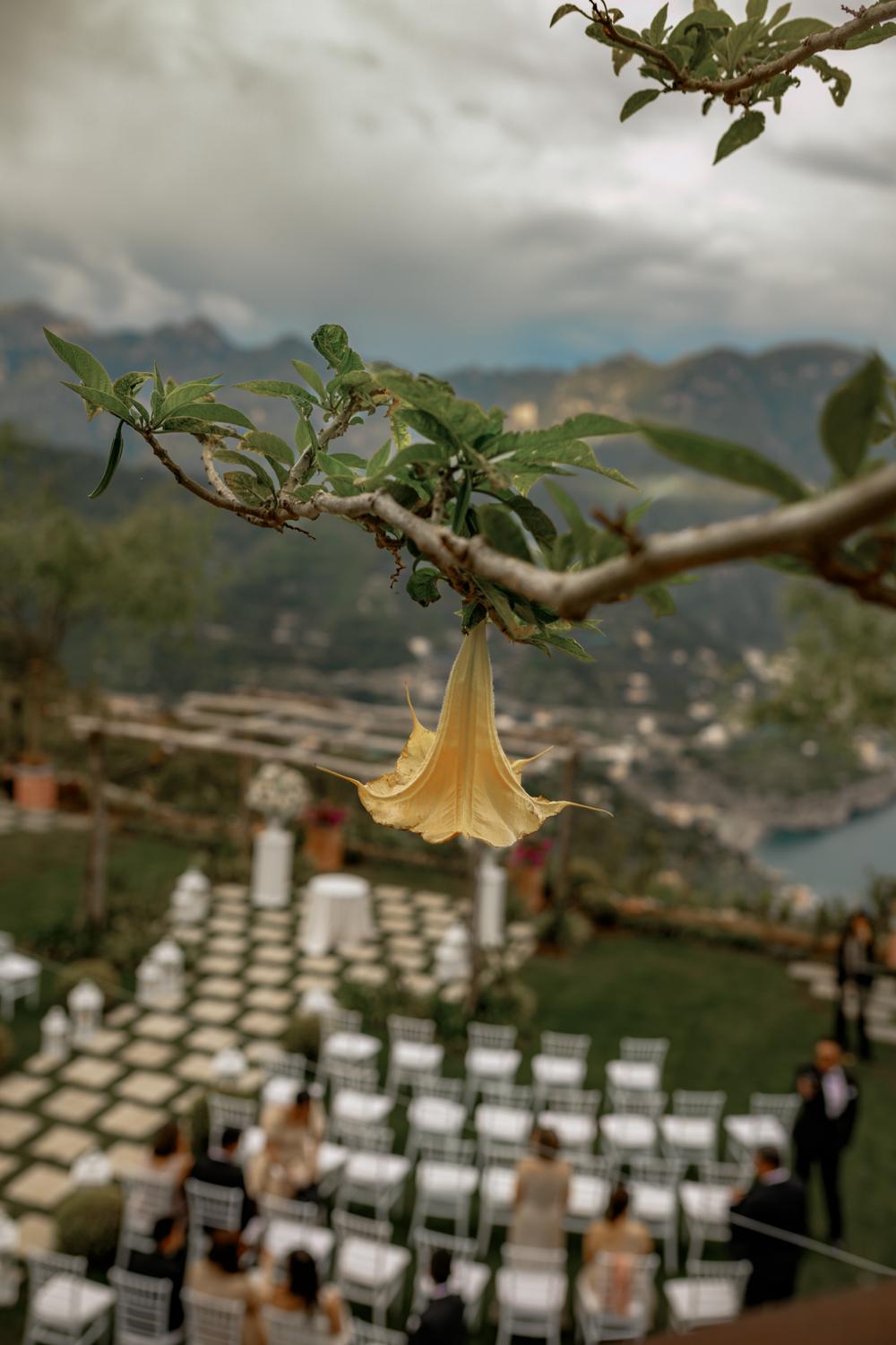 B+J|wedding