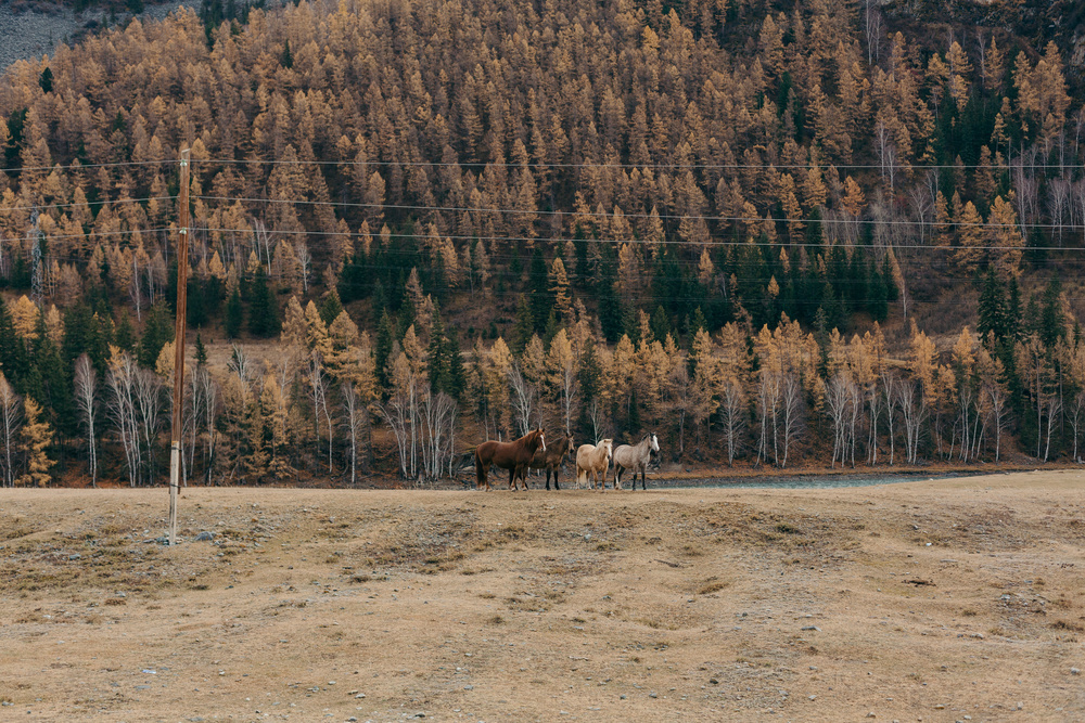 948 километров...