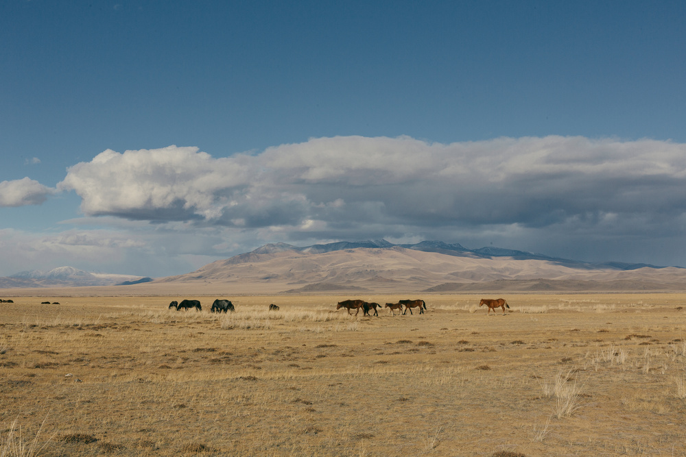 948 километров...