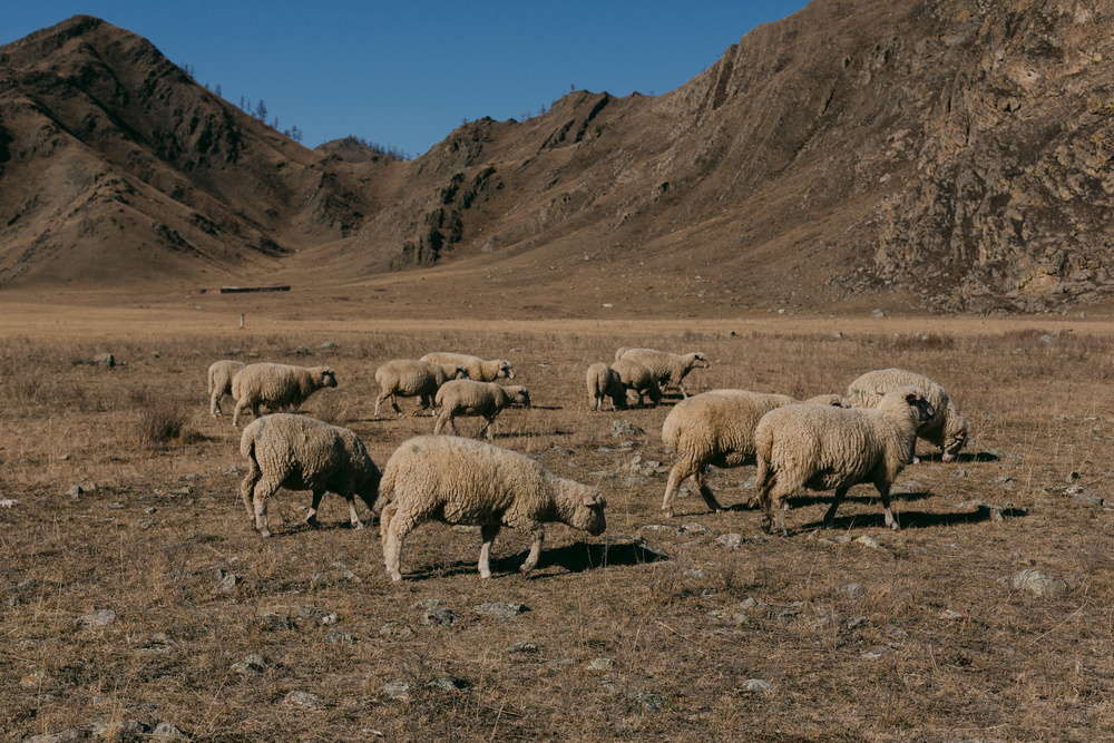 948 километров...