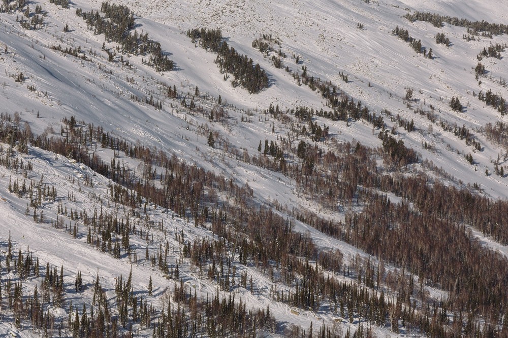 Октябрь, ты серьезно? Снег? Уже?