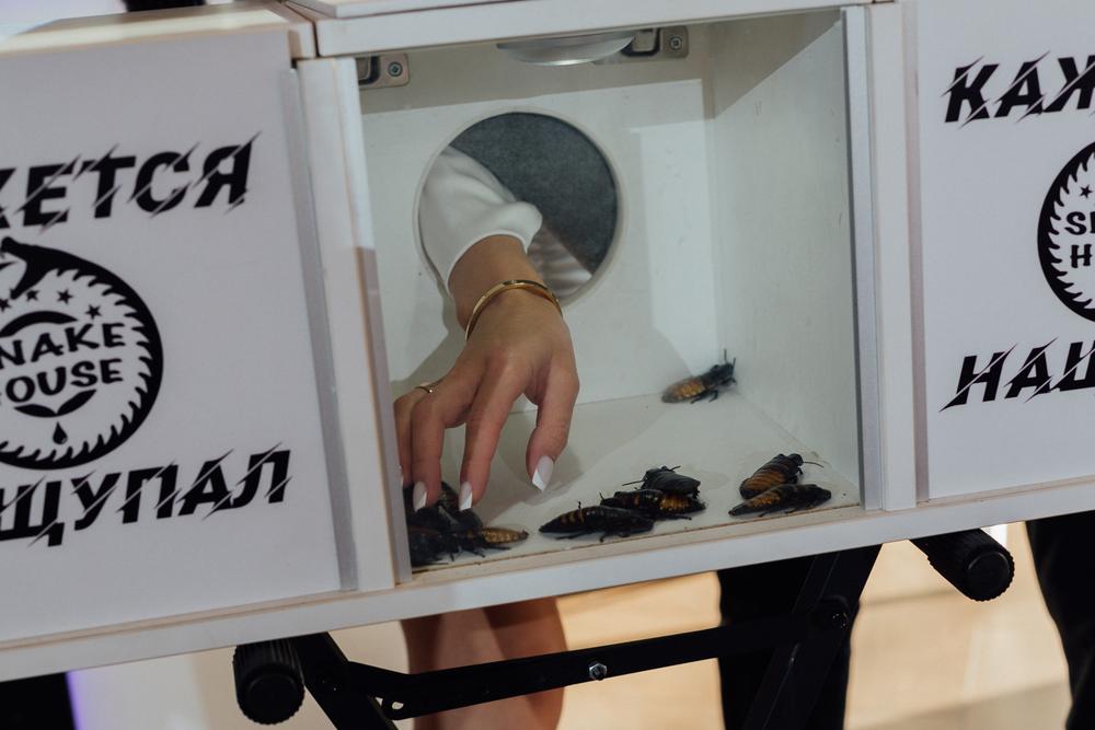 Где-то в начале осени...