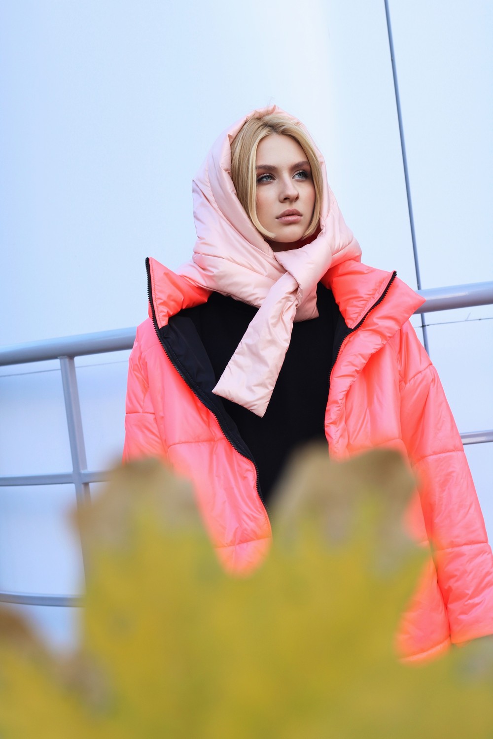 DARIA P.