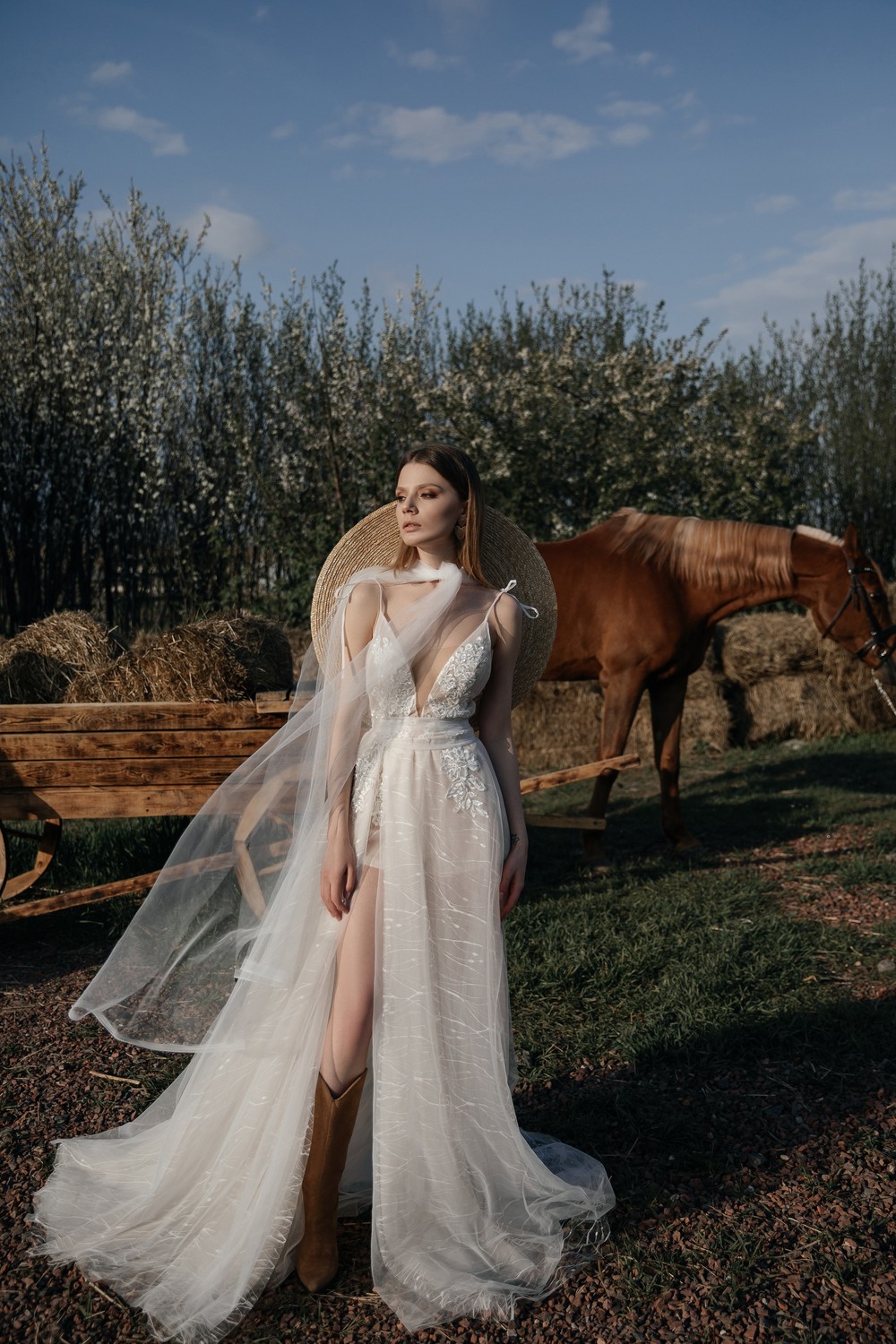 ANASTASIA SH
