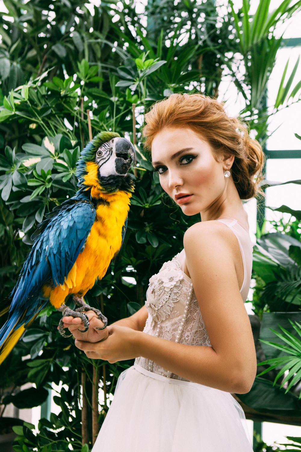 Wedding collections